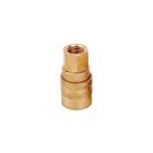 COPLE PARA MANGUERA DE AIRE HEMBRA 1/4" LATON