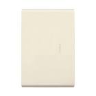 PLACA CIEGA CON CHASIS MARFIL