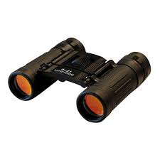 [CAD-EBIN-ZHD21] BINOCULARES 8X21MM