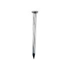 [SUR-CLG212] CLAVO PARA CONCRETO 2.1/2" GALVANIZADO (1 KG)