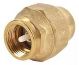 [COF-IP-641] VALVULA CHECK DE RESORTE 2/3"
