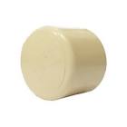 [CIF-71713] TAPON CAPA CPVC CTS 1/2"
