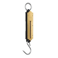 [PRE-21255] BÁSCULA CAPACIDAD 100 KG ROMANA DE RESORTE, PRETUL